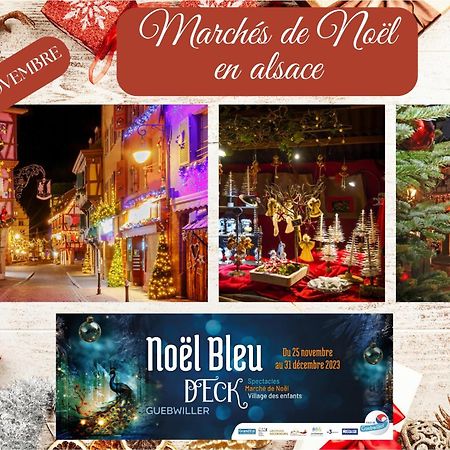 Chez Patisa - Business And Tourism - Rbnb Ґебвіллер Екстер'єр фото